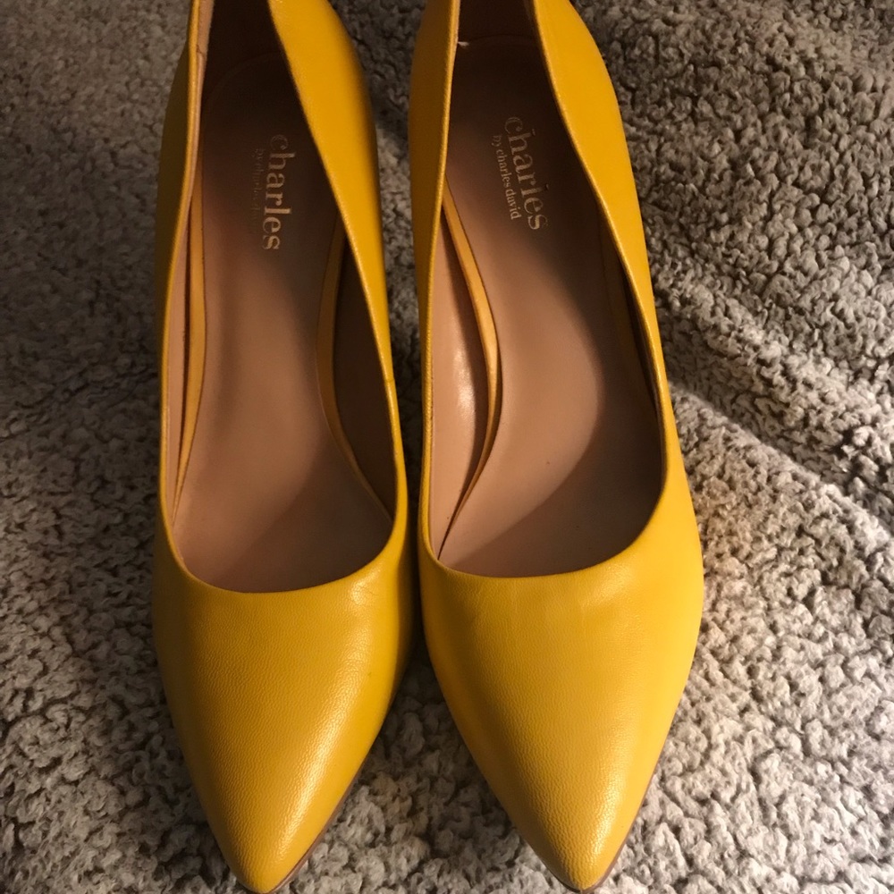Charles David Pumps